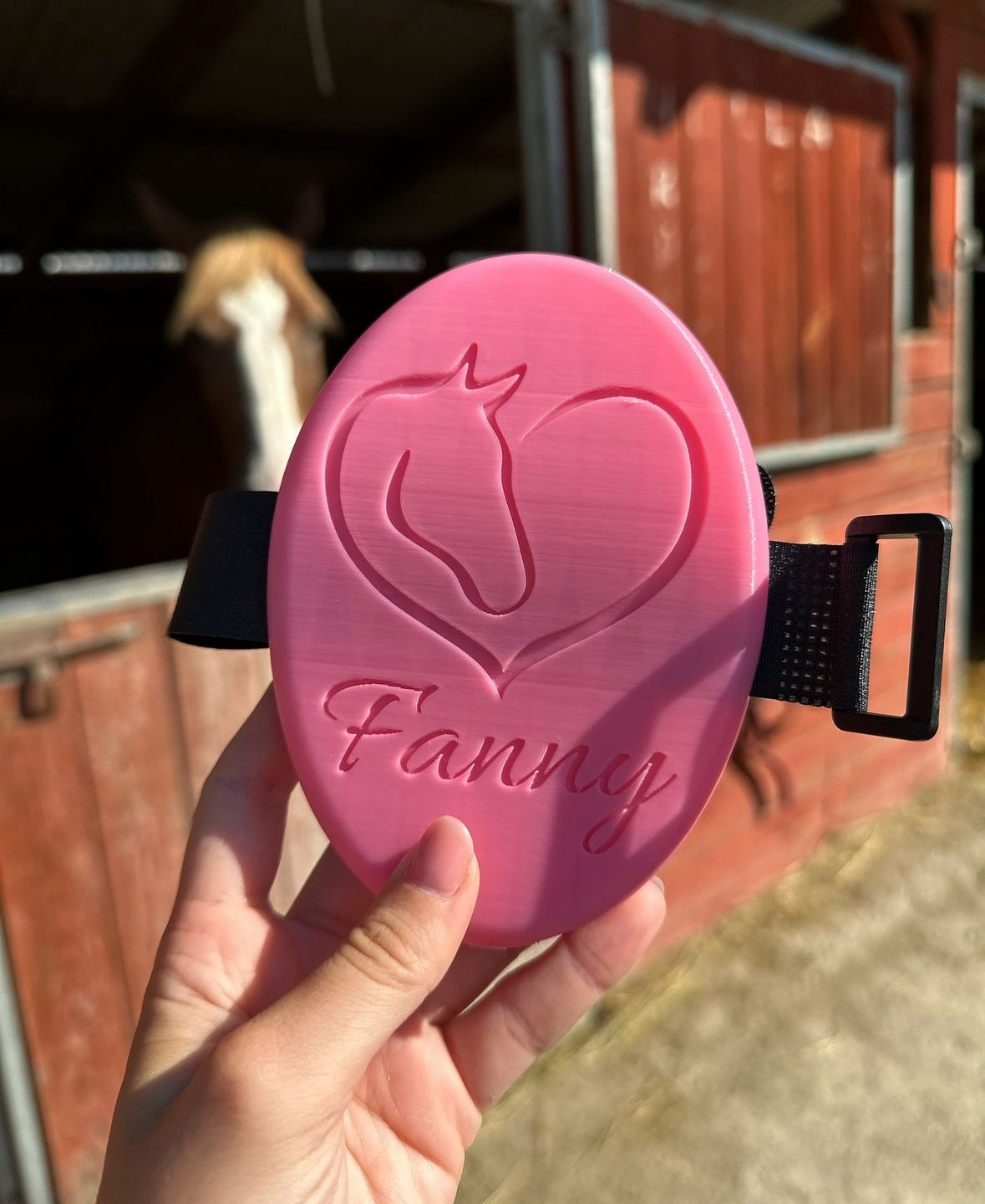 Customizable curry comb