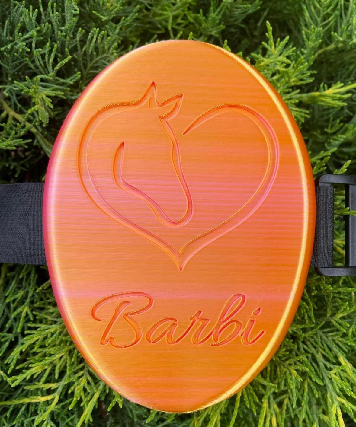 Customizable curry comb