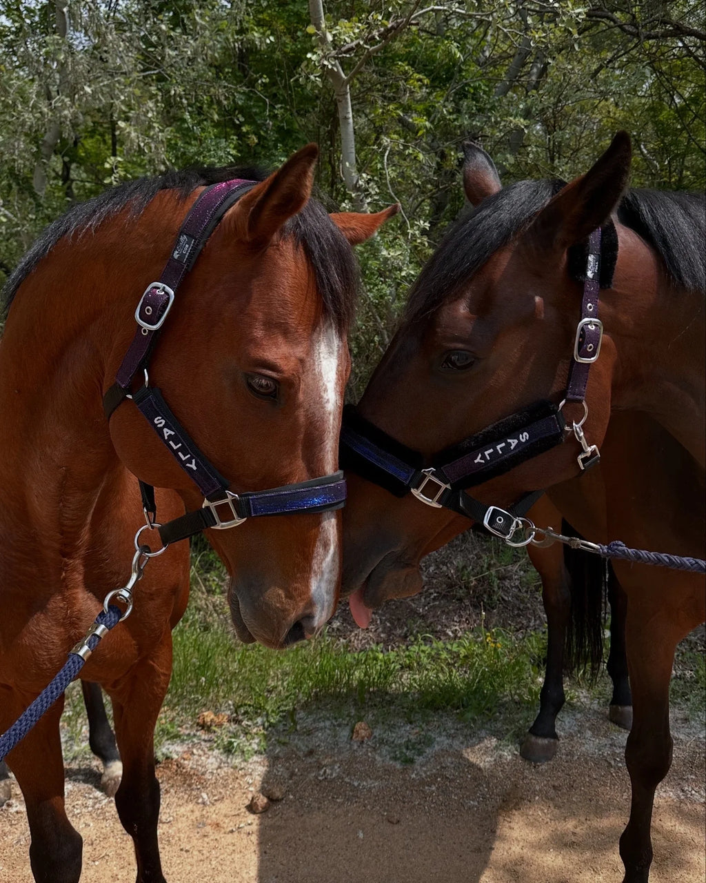 Stardust Ajándékcsomag