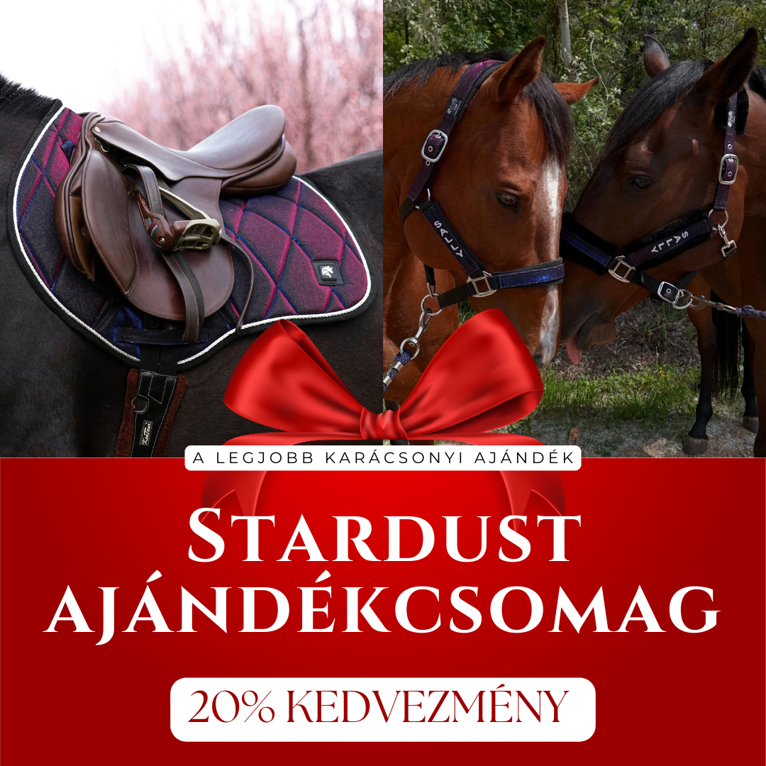 Stardust Ajándékcsomag